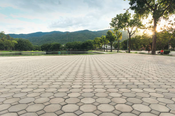 Best Local Driveway Pavers  in Lyford, TX